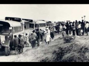Montgomery Bus Boycott  